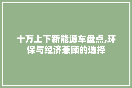 十万上下新能源车盘点,环保与经济兼顾的选择