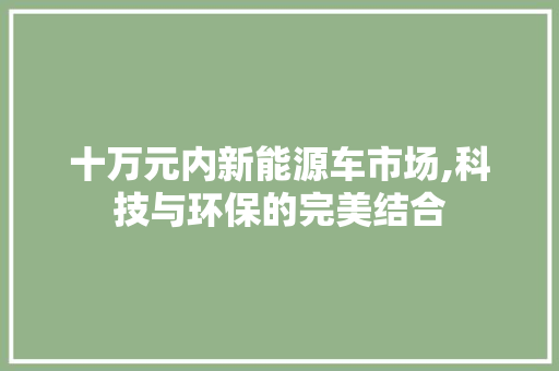十万元内新能源车市场,科技与环保的完美结合