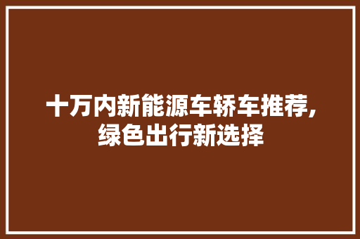 十万内新能源车轿车推荐,绿色出行新选择