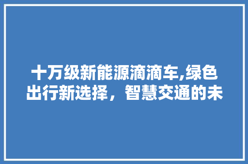 十万级新能源滴滴车,绿色出行新选择，智慧交通的未来篇章 车灯配件