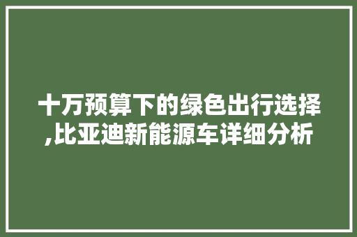 十万预算下的绿色出行选择,比亚迪新能源车详细分析 汽车配件