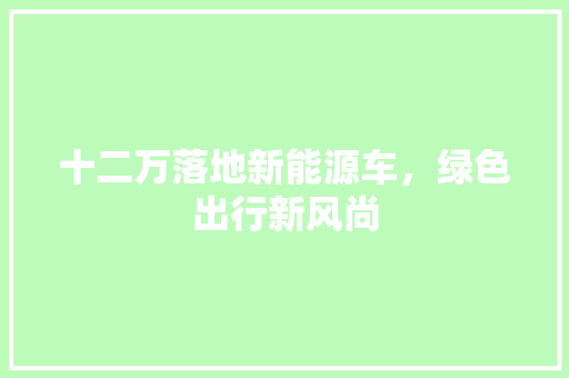 十二万落地新能源车，绿色出行新风尚
