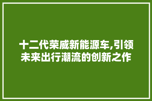 十二代荣威新能源车,引领未来出行潮流的创新之作