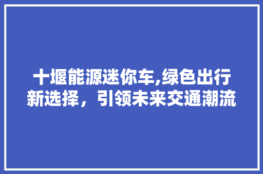 十堰能源迷你车,绿色出行新选择，引领未来交通潮流