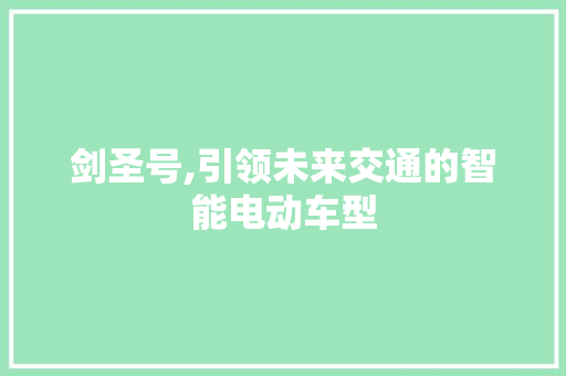 剑圣号,引领未来交通的智能电动车型