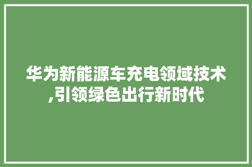 华为新能源车充电领域技术,引领绿色出行新时代