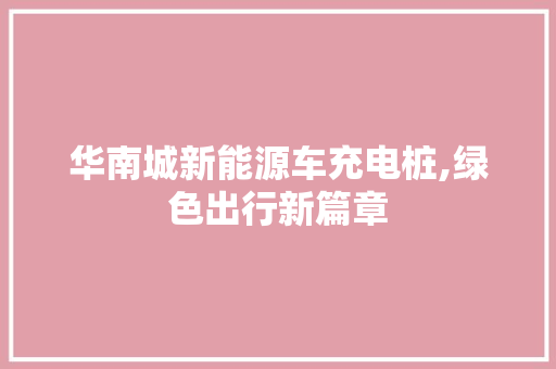 华南城新能源车充电桩,绿色出行新篇章