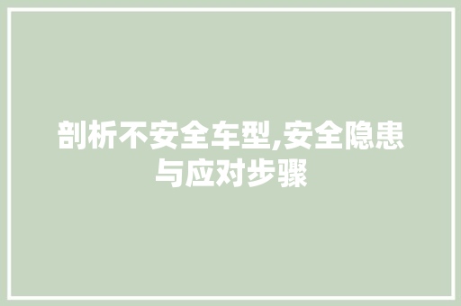 剖析不安全车型,安全隐患与应对步骤
