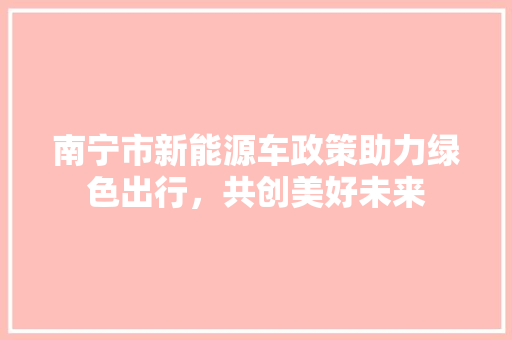 南宁市新能源车政策助力绿色出行，共创美好未来