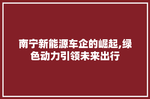 南宁新能源车企的崛起,绿色动力引领未来出行