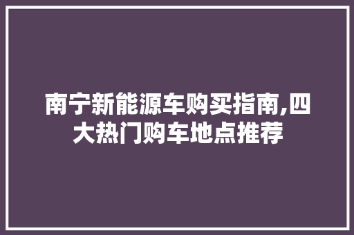 南宁新能源车购买指南,四大热门购车地点推荐