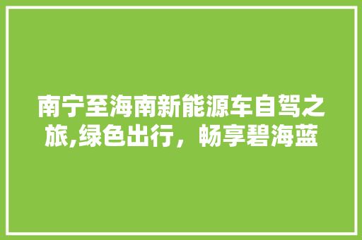 南宁至海南新能源车自驾之旅,绿色出行，畅享碧海蓝天