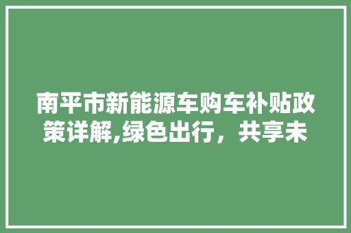 南平市新能源车购车补贴政策详解,绿色出行，共享未来