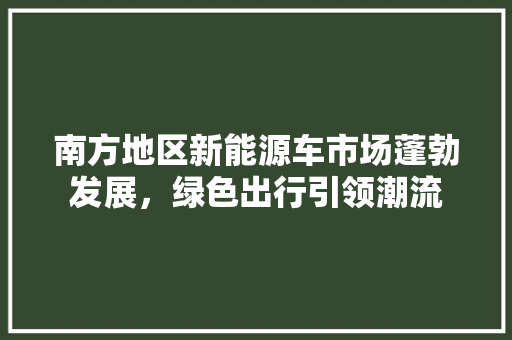 南方地区新能源车市场蓬勃发展，绿色出行引领潮流