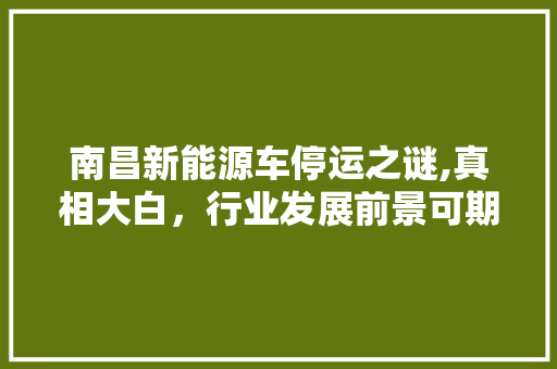 南昌新能源车停运之谜,真相大白，行业发展前景可期