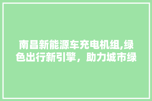 南昌新能源车充电机组,绿色出行新引擎，助力城市绿色发展