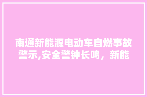 南通新能源电动车自燃事故警示,安全警钟长鸣，新能源发展之路需谨慎前行