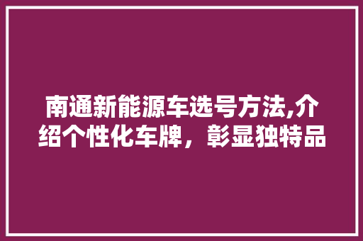 南通新能源车选号方法,介绍个性化车牌，彰显独特品味