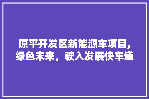 原平开发区新能源车项目,绿色未来，驶入发展快车道