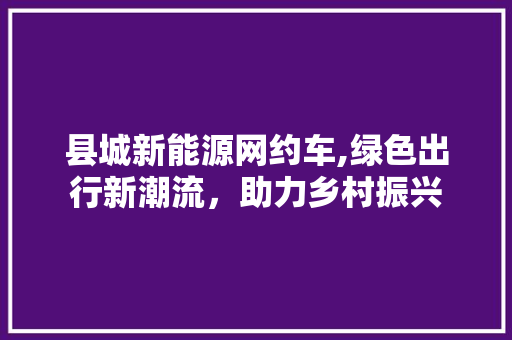 县城新能源网约车,绿色出行新潮流，助力乡村振兴