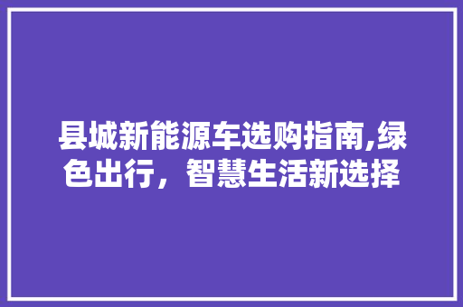 县城新能源车选购指南,绿色出行，智慧生活新选择