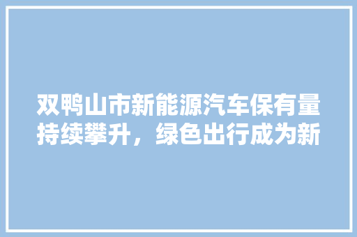 双鸭山市新能源汽车保有量持续攀升，绿色出行成为新风尚