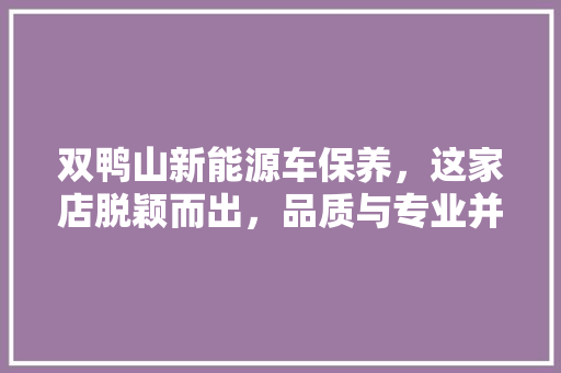 双鸭山新能源车保养，这家店脱颖而出，品质与专业并存！