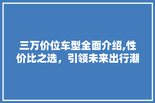三万价位车型全面介绍,性价比之选，引领未来出行潮流 汽车配件