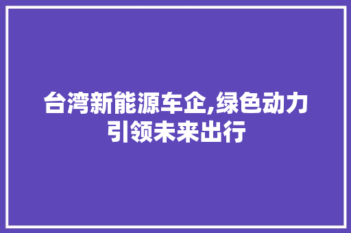 台湾新能源车企,绿色动力引领未来出行 变速箱配件