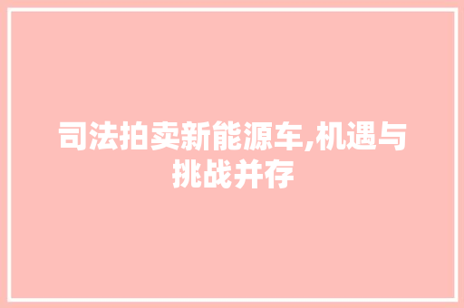 司法拍卖新能源车,机遇与挑战并存