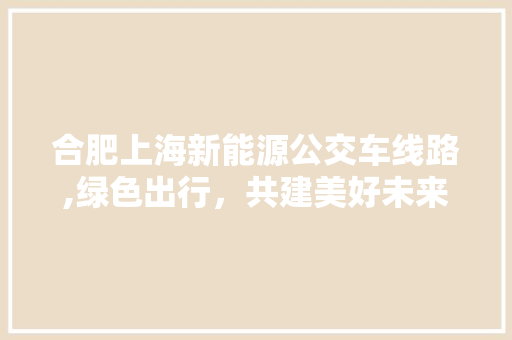 合肥上海新能源公交车线路,绿色出行，共建美好未来