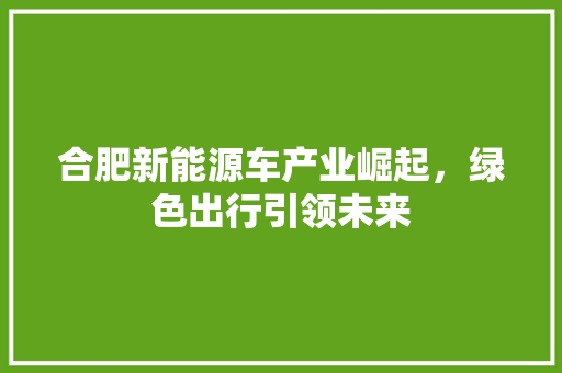 合肥新能源车产业崛起，绿色出行引领未来