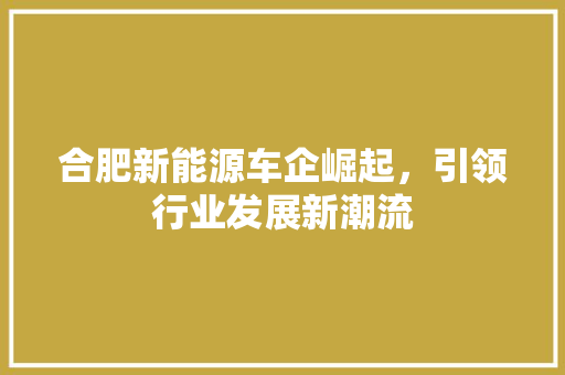合肥新能源车企崛起，引领行业发展新潮流