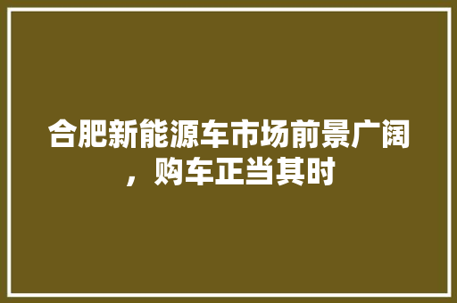 合肥新能源车市场前景广阔，购车正当其时
