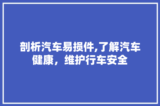 剖析汽车易损件,了解汽车健康，维护行车安全