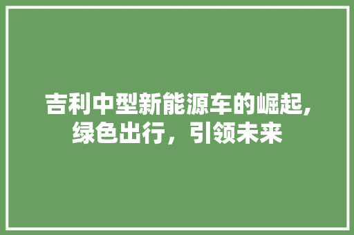 吉利中型新能源车的崛起,绿色出行，引领未来