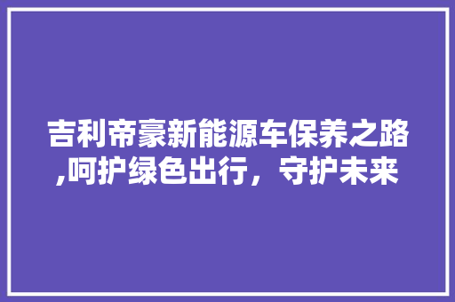 吉利帝豪新能源车保养之路,呵护绿色出行，守护未来生活