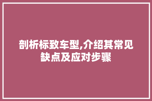 剖析标致车型,介绍其常见缺点及应对步骤