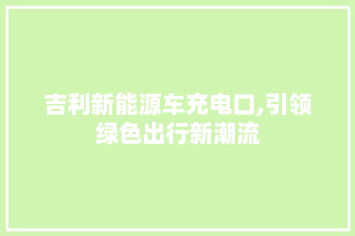 吉利新能源车充电口,引领绿色出行新潮流