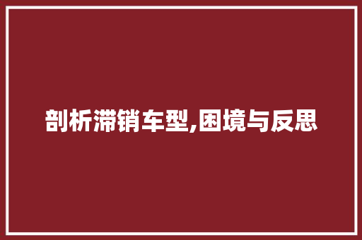 剖析滞销车型,困境与反思