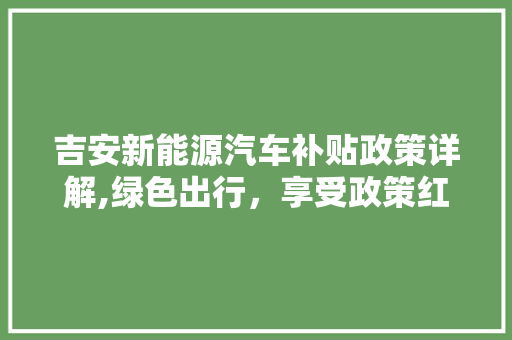吉安新能源汽车补贴政策详解,绿色出行，享受政策红利