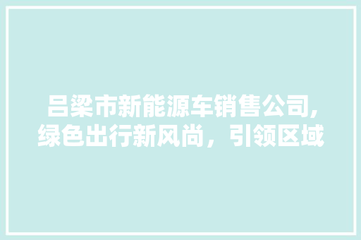 吕梁市新能源车销售公司,绿色出行新风尚，引领区域低碳生活