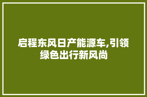 启程东风日产能源车,引领绿色出行新风尚