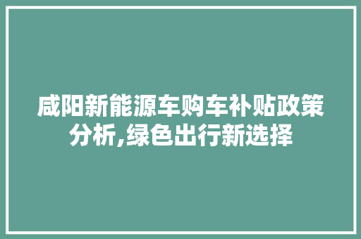 咸阳新能源车购车补贴政策分析,绿色出行新选择