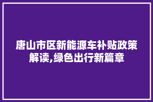 唐山市区新能源车补贴政策解读,绿色出行新篇章 蓄电池配件