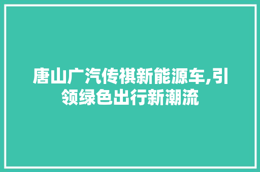 唐山广汽传祺新能源车,引领绿色出行新潮流