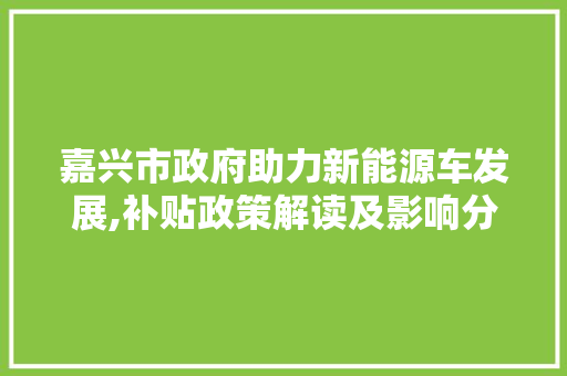 嘉兴市政府助力新能源车发展,补贴政策解读及影响分析