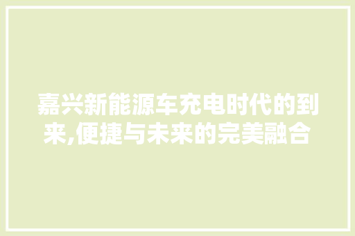嘉兴新能源车充电时代的到来,便捷与未来的完美融合