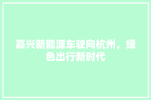 嘉兴新能源车驶向杭州，绿色出行新时代