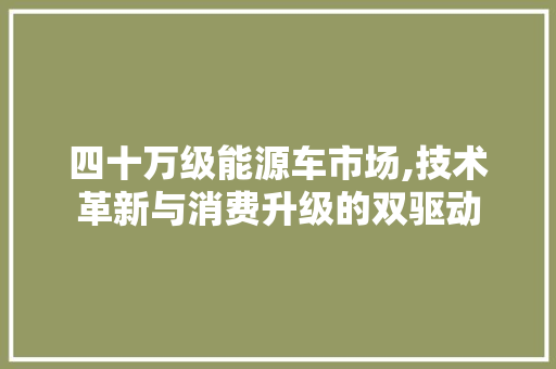 四十万级能源车市场,技术革新与消费升级的双驱动